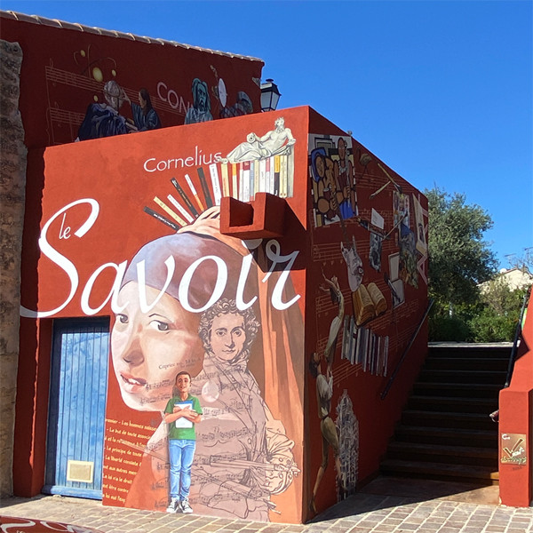 CORNILLON_CFX_FACE_ECOLE